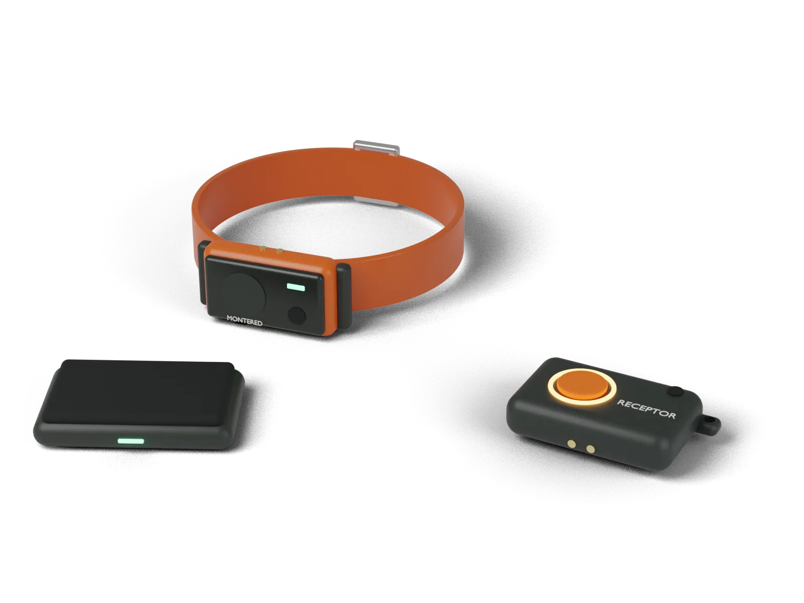 Kit Rastro: 1 Collar Rastro, 1 Receptor, Cuna de carga